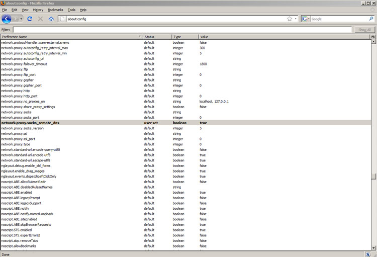 Firefox DNS proxy setting
