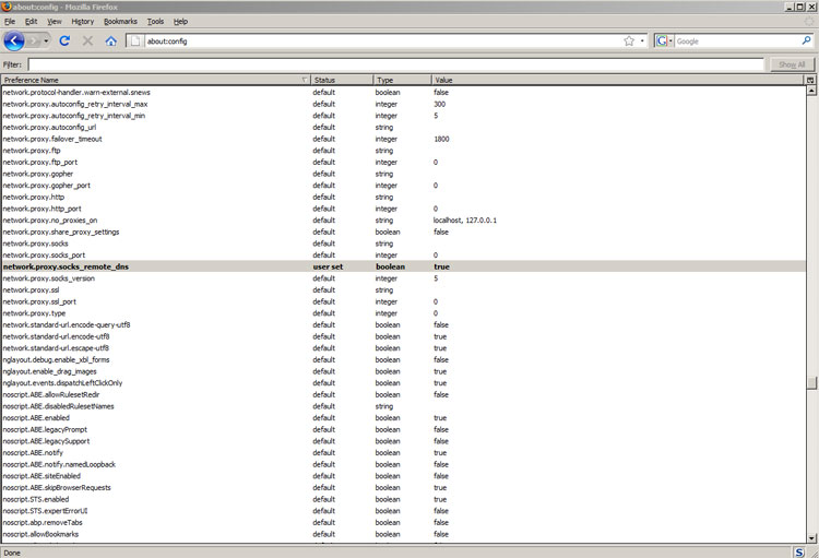 Firefox DNS proxy setting